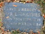image of grave number 735254